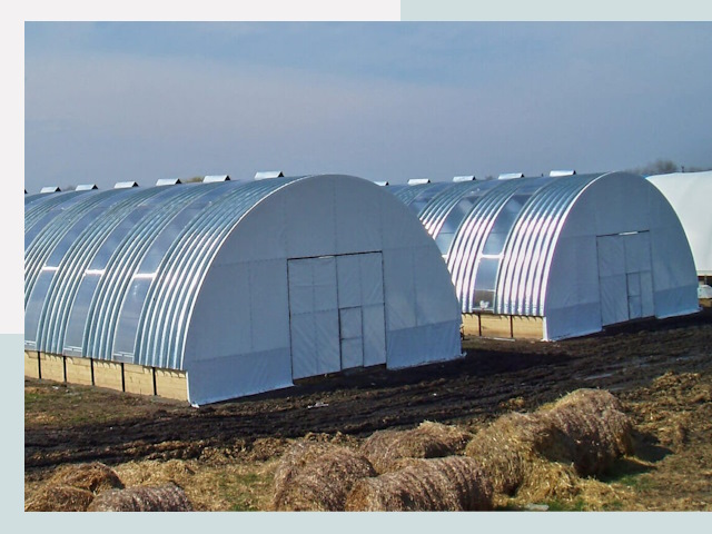 Сельскохозяйственные здания в Скопине