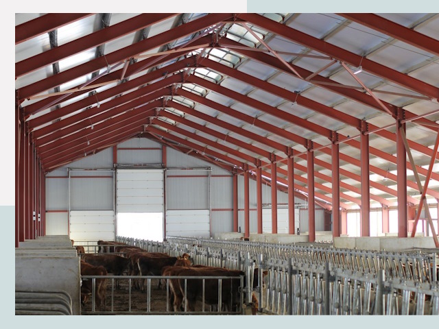 Строительство коровников в Скопине