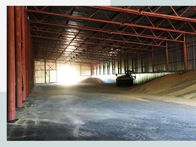 Строительство зернохранилищ в Скопине