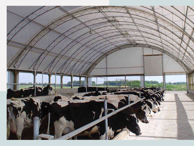 Тентовые коровники в Скопине